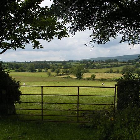 Brandon View House B&B Graiguenamanagh エクステリア 写真