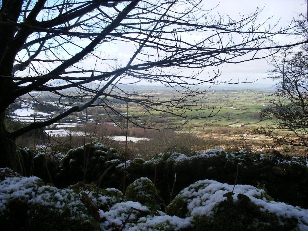 Brandon View House B&B Graiguenamanagh エクステリア 写真