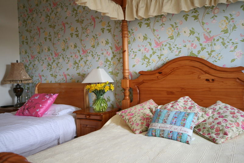 Brandon View House B&B Graiguenamanagh エクステリア 写真