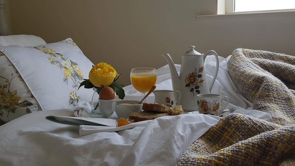 Brandon View House B&B Graiguenamanagh エクステリア 写真