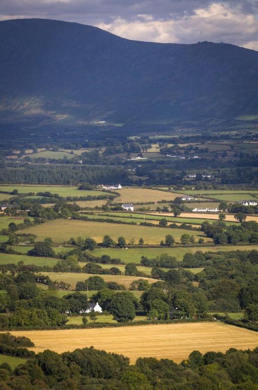 Brandon View House B&B Graiguenamanagh エクステリア 写真