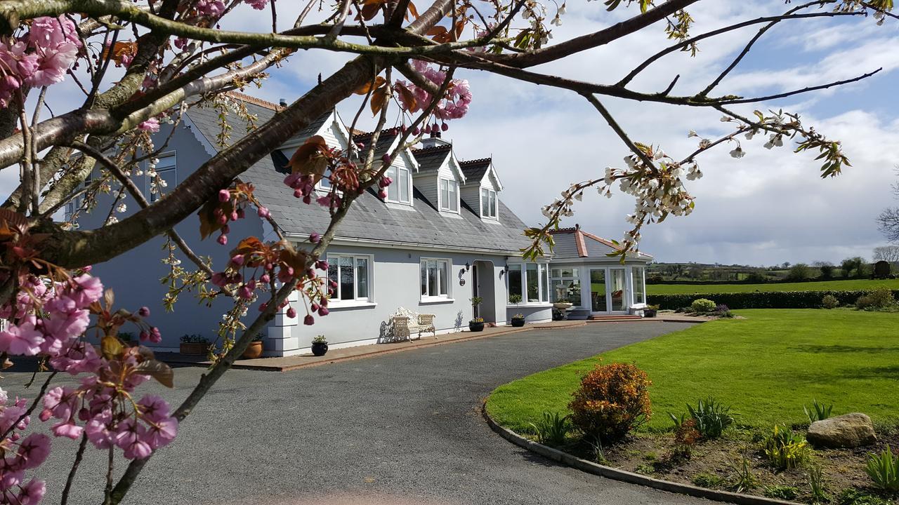 Brandon View House B&B Graiguenamanagh エクステリア 写真