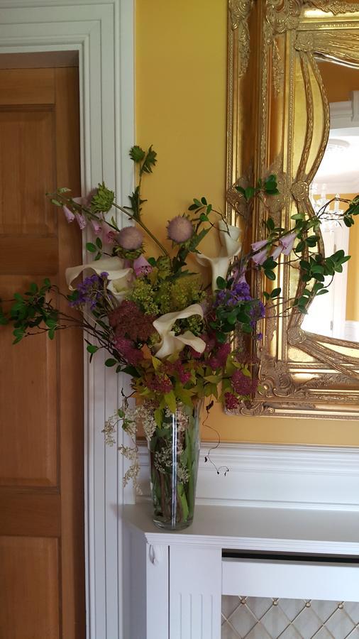 Brandon View House B&B Graiguenamanagh エクステリア 写真