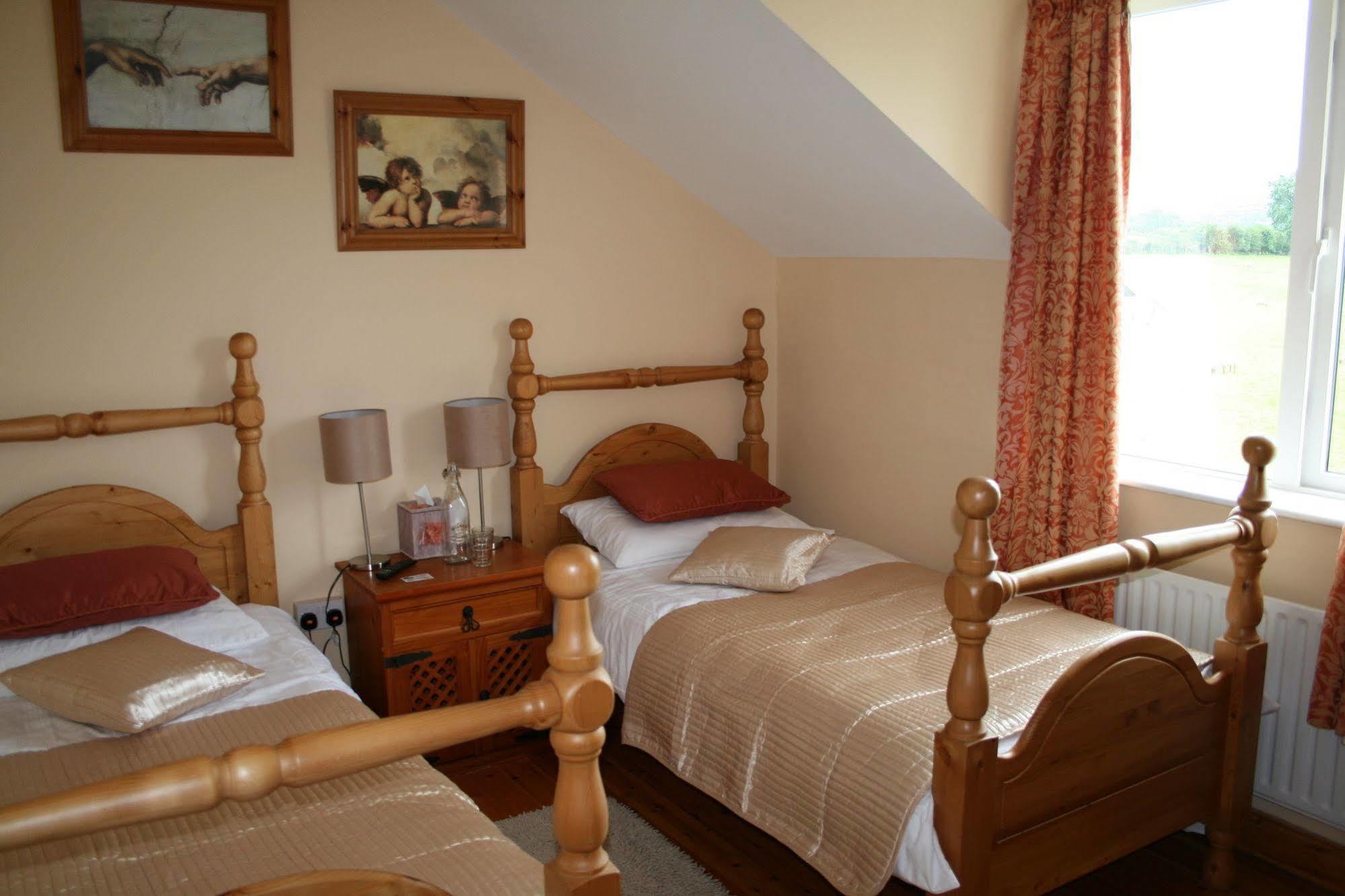 Brandon View House B&B Graiguenamanagh エクステリア 写真