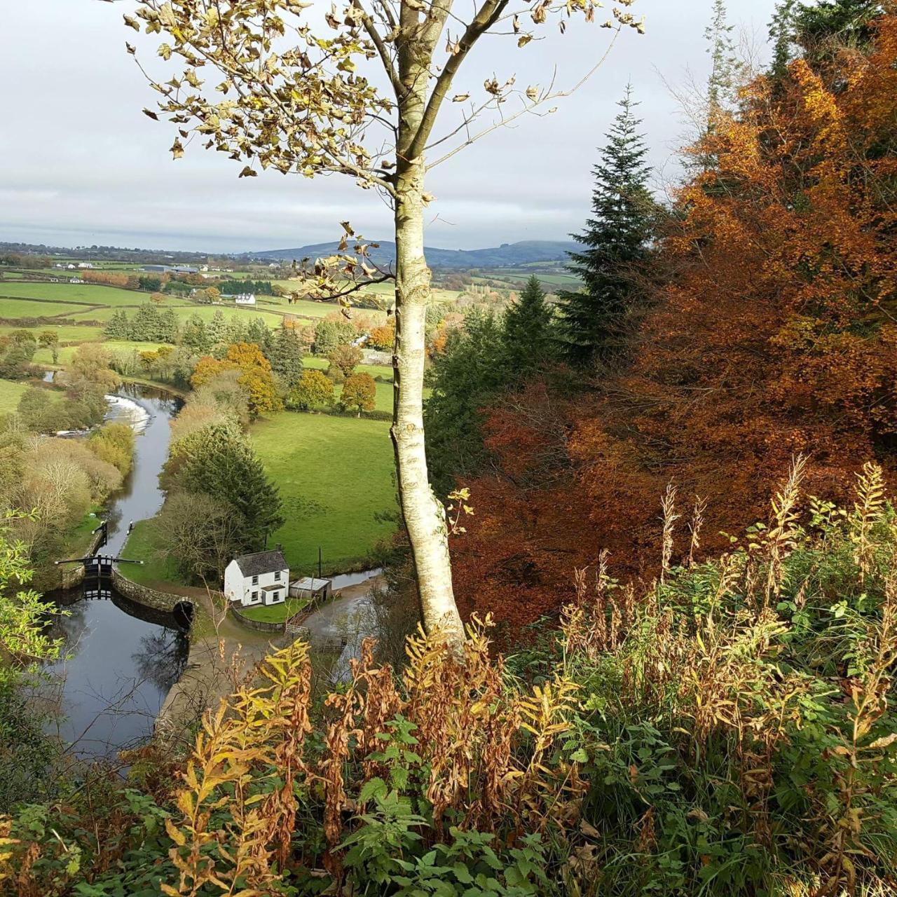 Brandon View House B&B Graiguenamanagh エクステリア 写真
